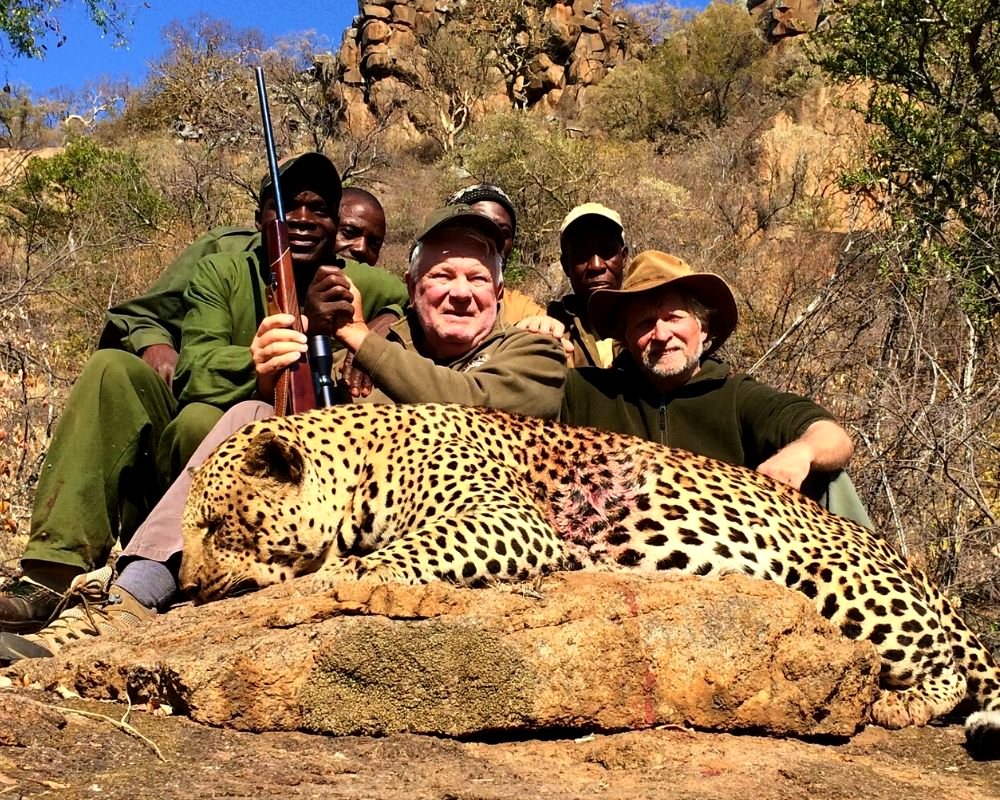Leopard hunt in Africa