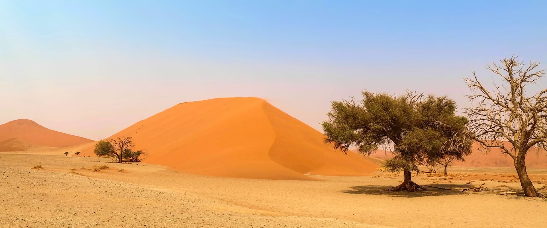 Namib Desert dunes, Namibia